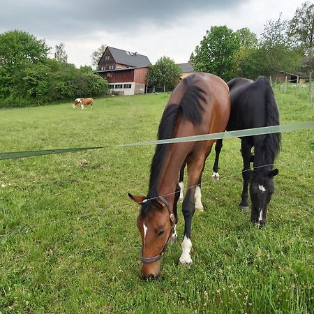 Glamping-Paradies Am Dengler Hof Hohenberg an der Eger Exterior foto