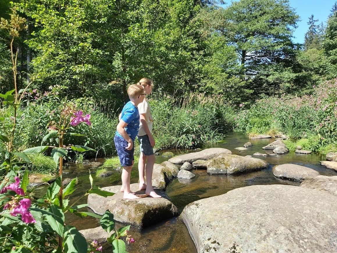 Glamping-Paradies Am Dengler Hof Hohenberg an der Eger Exterior foto